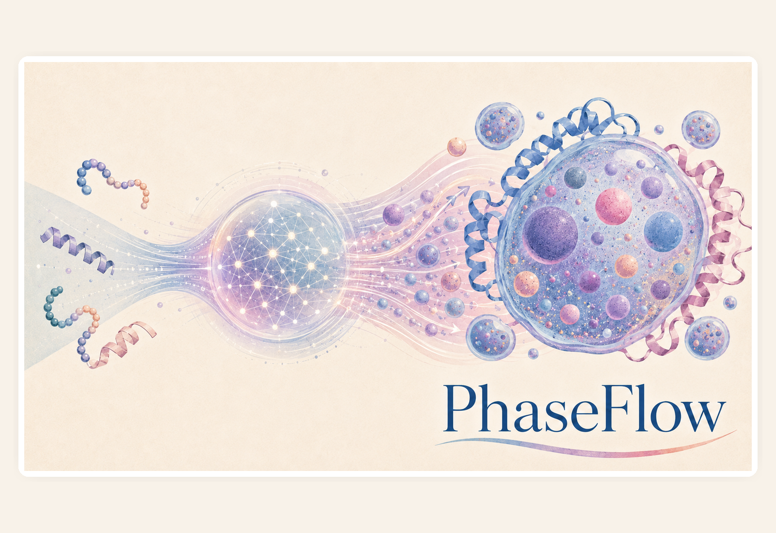 PhaseFlow